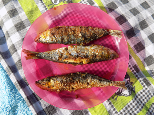 Festival de la Sardina de Candás