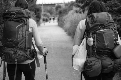 Viaje Camino de Santiago