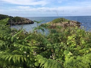 Vía Verde el Tranqueru