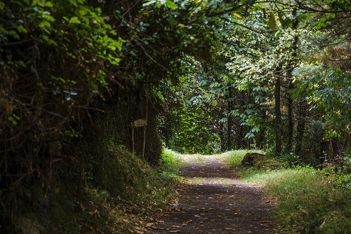 Ruta del Agua Taramundi