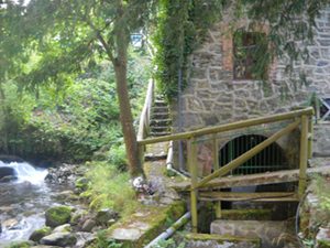 Ruta Hoces del Pino Aller