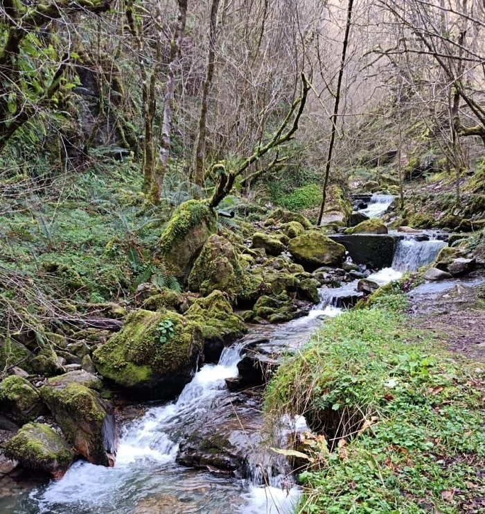 Ruta Foces del Río Pendón